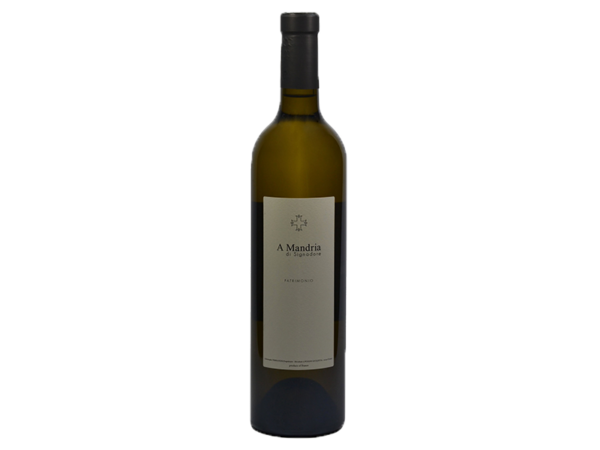Clos Signadore – A Mandria di Signadore blanc 2019 - D'or et de vins - Livraison de vins d'exception à domicile