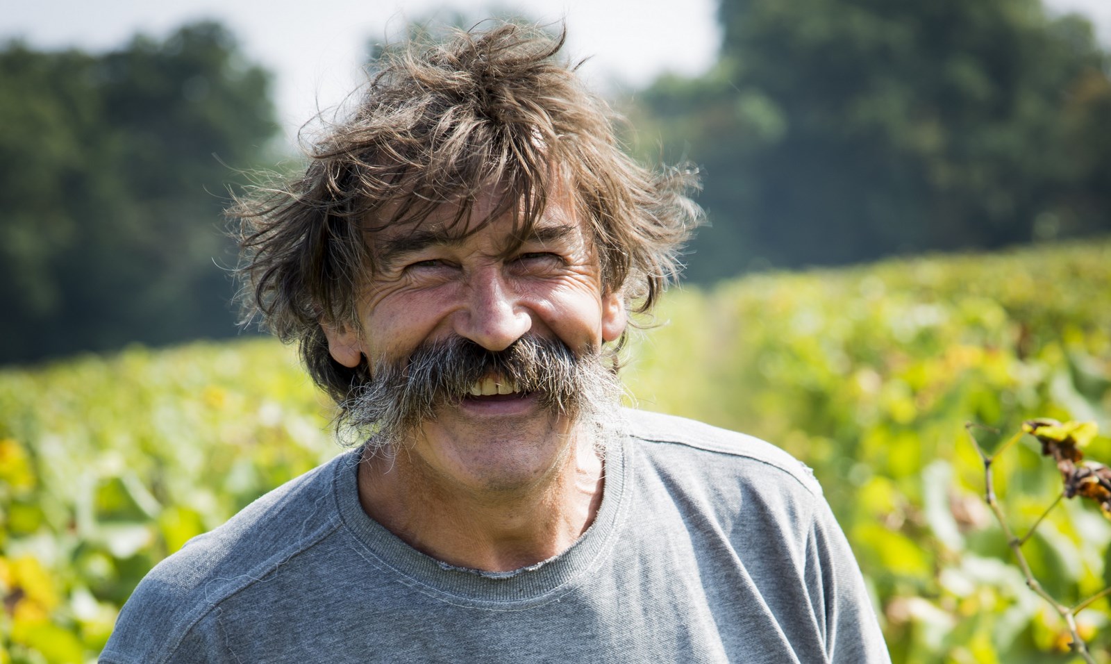 Les vins de la Loire - Domaine Landron – AOC Muscadet Sèvre et Maine - Livraison de vins d'exception à domicile