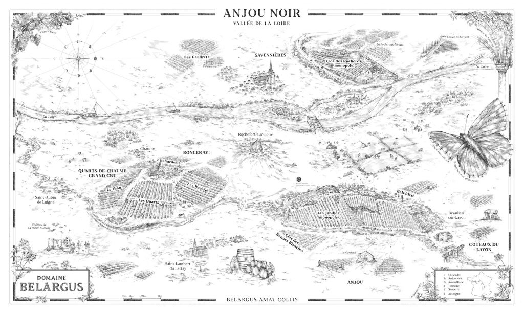 Les vins de la Loire - Le Domaine Belargus – Livraison de vins d'exception à domicile