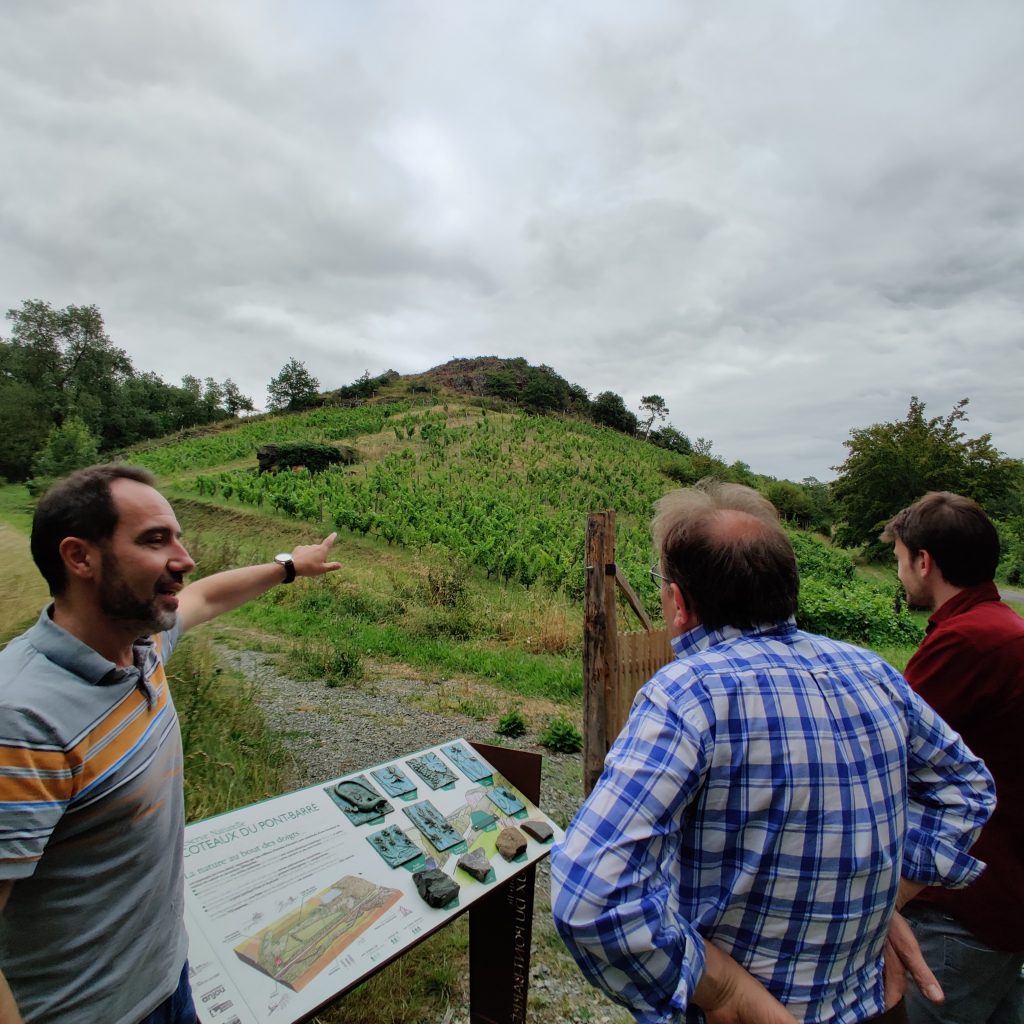 Les vins de la Loire - Le vigne et les vignerons du Domaine Belargus – Livraison de vins d'exception à domicile