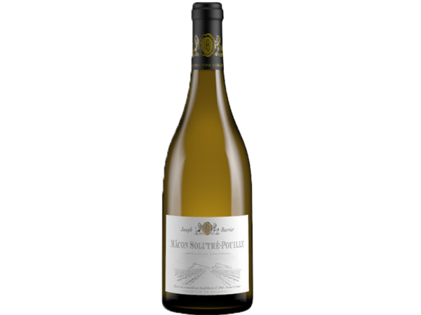 Macon Solutré Pouilly