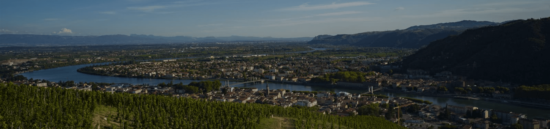 Vallée du Rhône : vins et appellations