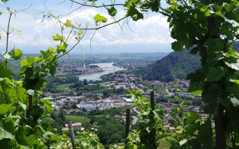 Vallée du Rhône - Côtes-du-Rhône septentrionales -D'or et de vins
