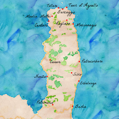 Cap corse - D'or et de vins