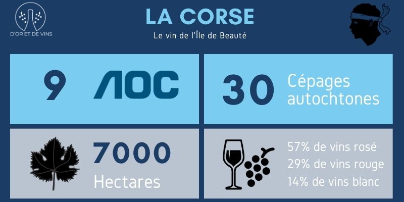 Le vin de l'Île de la Beauté - d'or et de vins