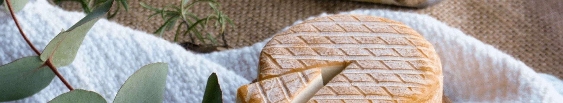 Nos accords fromages vegans et vins bio