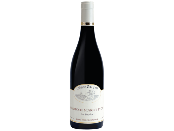 Chambolle Musigny 1er cru les baudes