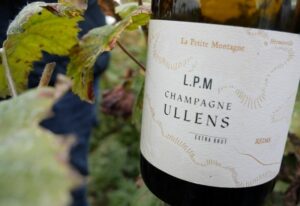 champagne ullens