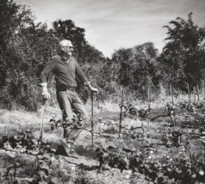 qu'est ce que le vin vegan