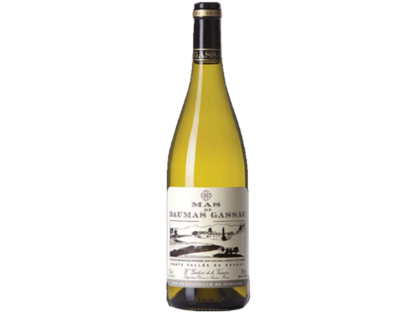 vin du languedoc