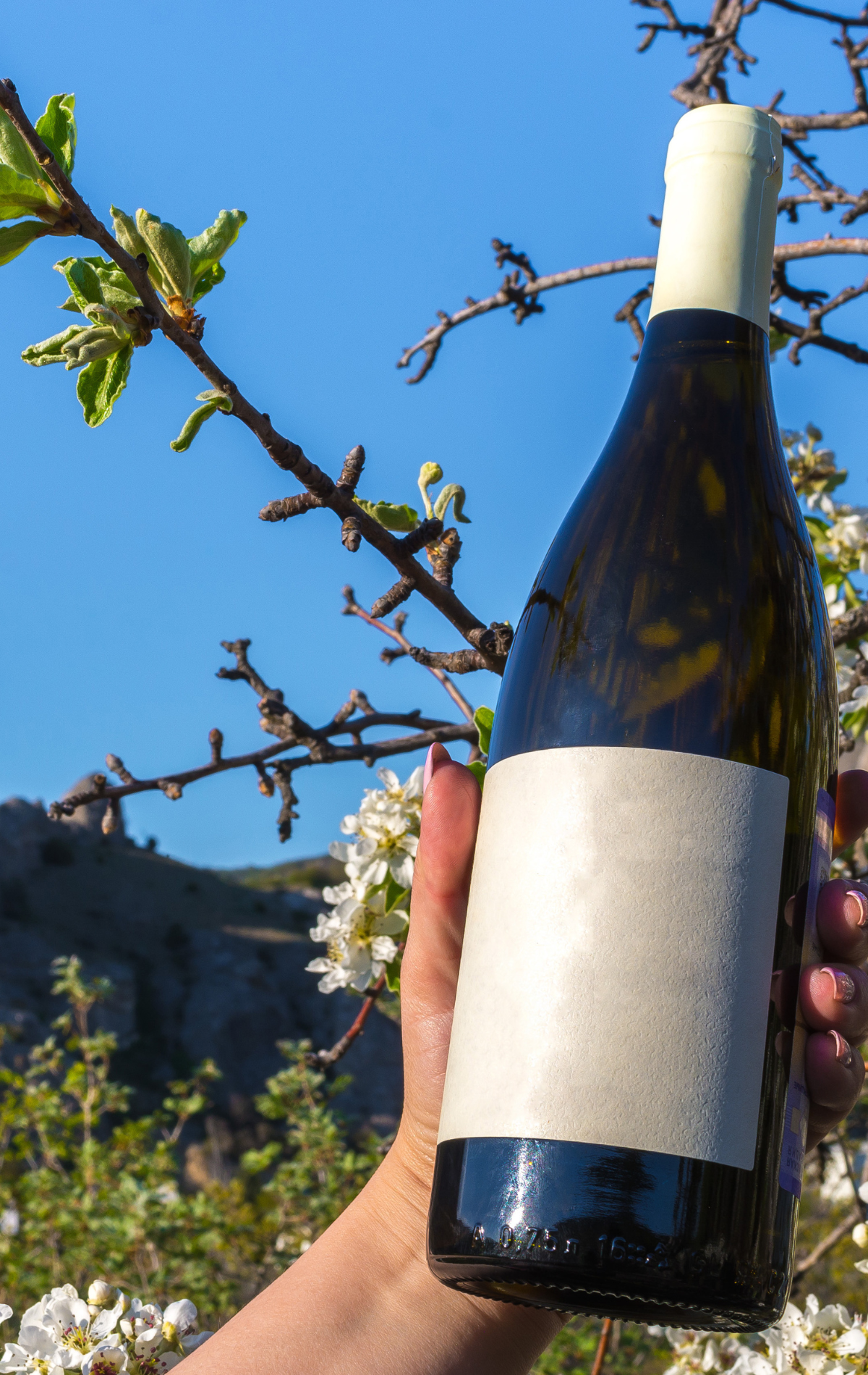 une main qui tient uine bouteille de vin nature