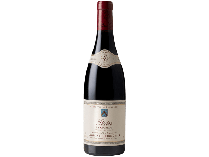Domaine Pierre Gelin - Fixin 