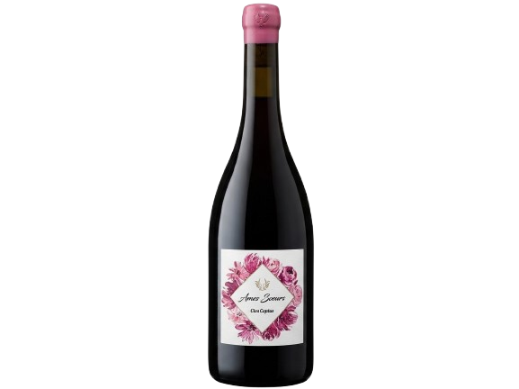 Clos Capitoro - Ames Soeurs